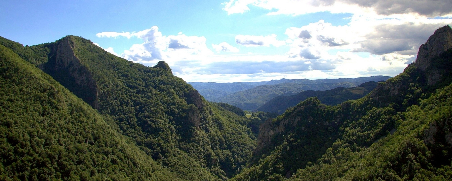 TURISTIČKA ORGANIZACIJA OPŠTINE LJUBOVIJA